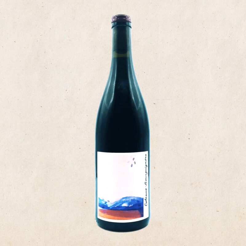 La Chaume des Lies - Coteaux Bourguignon 2021