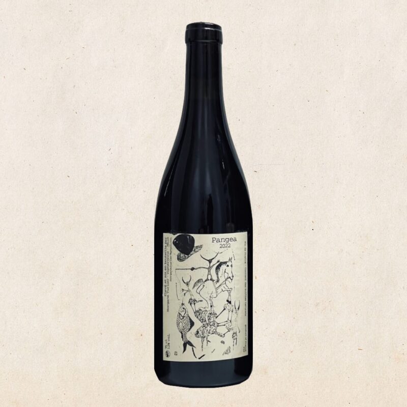 Morgane Turlier - Trousseau en Vignole 2022