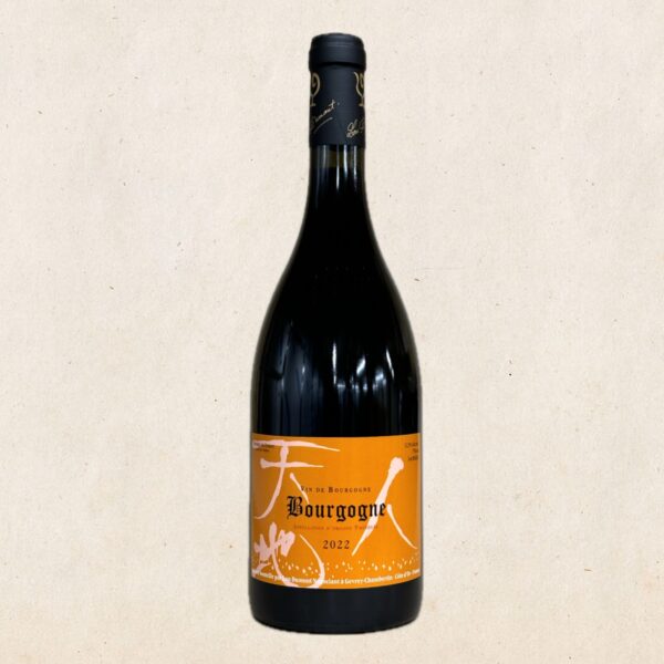 Lou Dumont - Bourgogne Rouge 2022