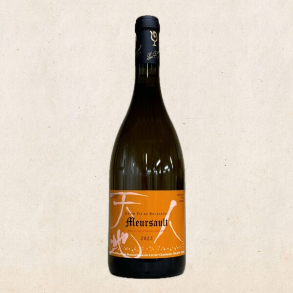 Lou Dumont - Meursault 2022