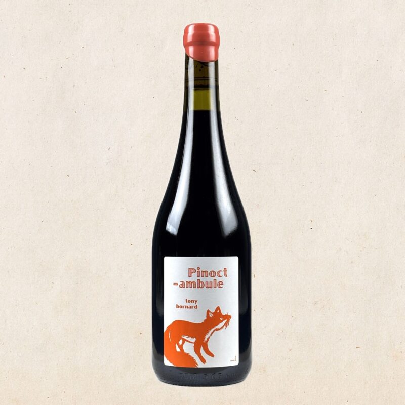 Domaine Bornard - Le Pinoctambule (Pinot Noir) 2022
