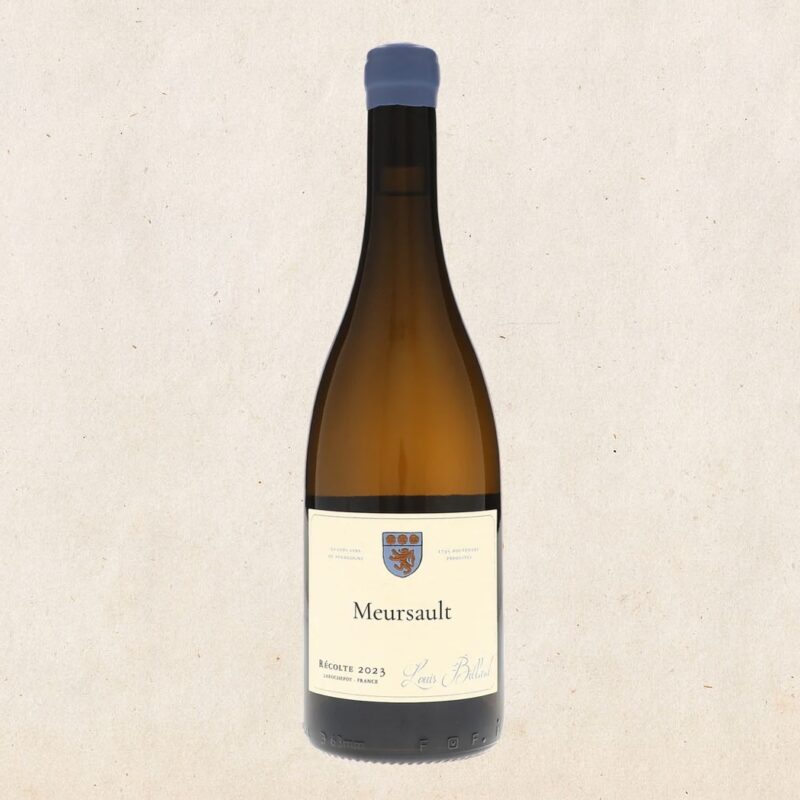 Louis Billard - Meursault 2023