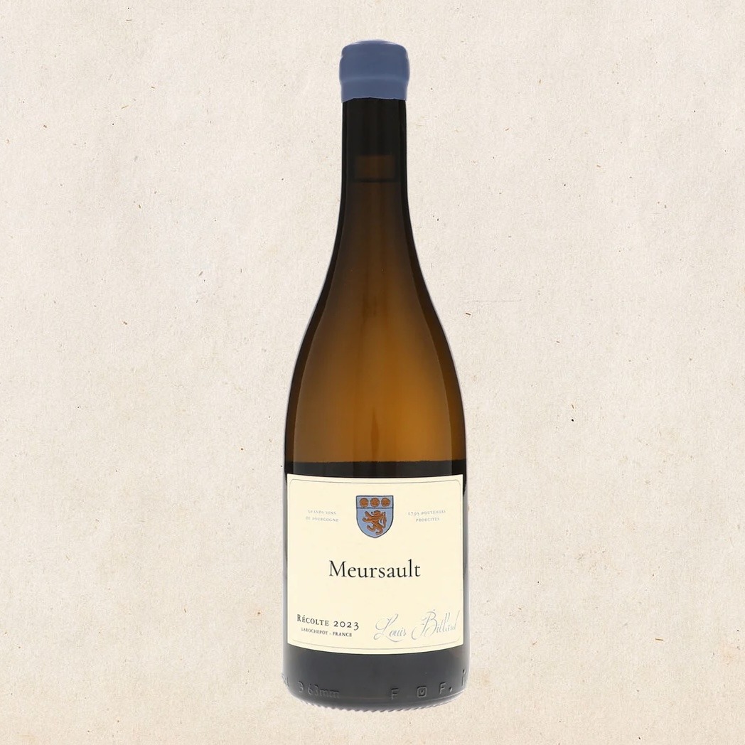 Louis Billard - Meursault 2023