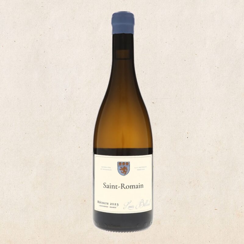 Louis Billard - Saint-Romain 2023