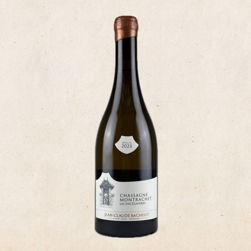 Jean-Claude Bachelet - Chassagne-Montrachet "Les Encegnières" 2023